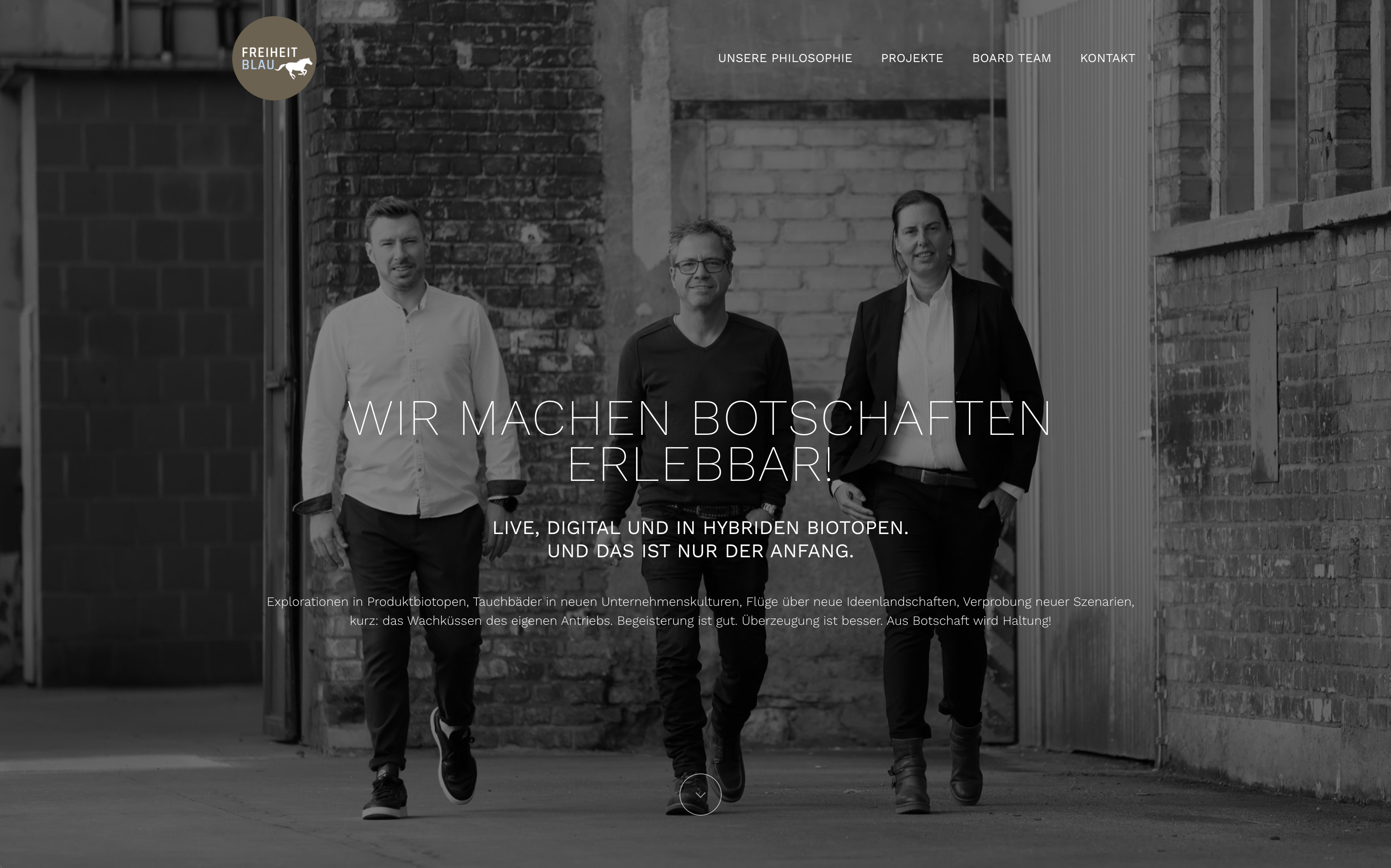 Freiheitblau GmbH - Webseite Relaunch